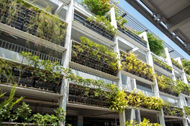Yeşil cephe, dikey Bahçe mimarisi. Ekolojik bina. Yeşil mimari
