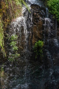 Sonbahar yapraklı şelaleye yakın çekim