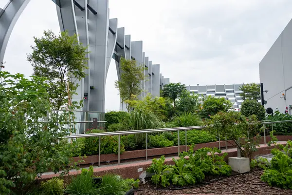 stock image Singapore - 8 March 2024: View of Sky Garden at CapitaSpring Building. It is rooftop observation deck with variety of plants which offers view of Singapore Central Business District