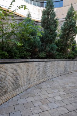 Eğri taştan bir duvar, yemyeşil yemyeşil ve yüksek ağaçların yer aldığı manzaralı bir alan.