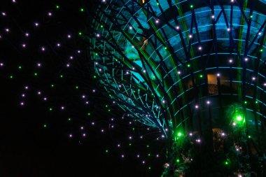 Singapur - 9 Mart 2024: Marina Bay Sands ile Garden By the Bay 'deki Supertree Grove. Gölge oluşturan, geceleri aydınlatan ve dikey bahçeleri destekleyen ağaç benzeri yapılara sahiptir.