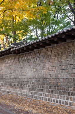 Deoksugung Stonewall Yürüyüşü güzel sonbahar yapraklarıyla. Güney Kore, Seul 'deki Deoksugung Sarayı' nın yanındaki yaya yolu.