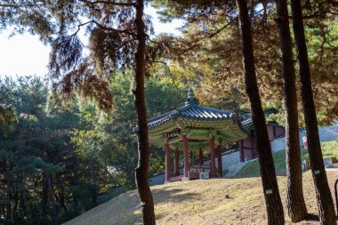 Mirohanjeong Pavilion, a hexagon pavilion on the hill at Suwon Hwaseong Palace, South Korea with autumn landscape. The traditional Chinese text is its name, means a pavilion for relaxing in old age. clipart