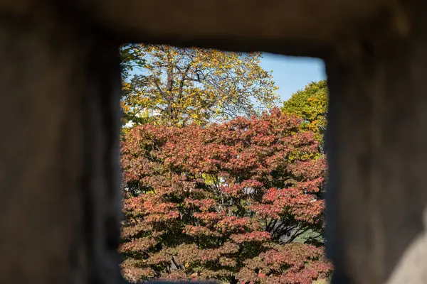 stock image Colorful leaves and autumn landscape, seen through the opening of Suwon Hwaseong Fortress Wall, South Korea