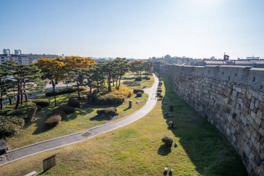 Suwon, Güney Kore - 29 Ekim 2023: Suwon Hwaseong Kalesi Duvarı, sonbaharda park manzaralı. Duvar Güney Kore 'nin Gyeonggi-do eyaletinin başkenti Suwon' u çevrelemektedir.