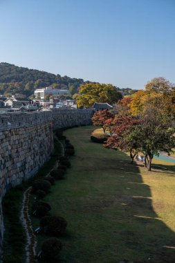 Suwon, South Korea - 29 October 2023: Suwon Hwaseong Fortress Wall, with the park view during autumn. The wall is surrounding the center of Suwon, the provincial capital of Gyeonggi-do, in South Korea clipart