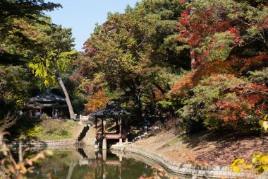 Seoul, South Korea - 28 October 2023: Gwallamjeong Pavilion in Secret Garden or Huwon of Changdeokgung Palace with autumn foliage. It was used as a place of leisure by members of the royal family clipart