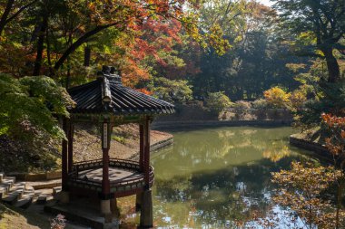 Seul, Güney Kore - 28 Ekim 2023: Gizli Bahçe 'deki Gwallamjeong Pavyonu veya Sonbahar yapraklı Huwon of Changdeokgung Sarayı. Burası kraliyet ailesi üyeleri tarafından bir eğlence yeri olarak kullanılıyordu.