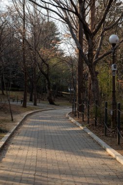 Kışın Seul Çocuk Parkı 'nda ağaç ve yürüyüş yolu. Güney Kore