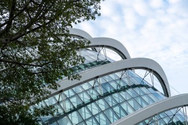 Bulut Ormanı ve Çiçek Kubbesi 'nin cam cephesi, Körfez kenarındaki bahçeler, Singapur