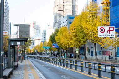Seul, Güney Kore - 24 Kasım 2019: Seul caddesi boyunca renkli sonbahar ağaçları olan bina