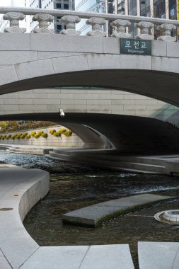 Seul, Güney Kore - 25 Kasım 2019: Sonbaharda Cheonggyecheon deresinin görüntüsü. Seul 'de modern bir kamusal alan.