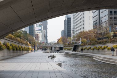 Seul, Güney Kore - 25 Kasım 2019: Sonbaharda Cheonggyecheon deresinin görüntüsü. Seul 'de modern bir kamusal alan.