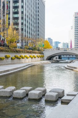 Seul, Güney Kore - 25 Kasım 2019: Sonbaharda Cheonggyecheon deresinin görüntüsü. Seul 'de modern bir kamusal alan.