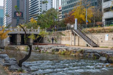 Seul, Güney Kore - 25 Kasım 2019: Sonbaharda Cheonggyecheon deresinin görüntüsü. Seul 'de modern bir kamusal alan.