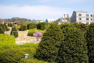 İlkbaharda renkli çiçeklerle Ewha Womans Üniversitesi. Özel bir kadın üniversitesi.