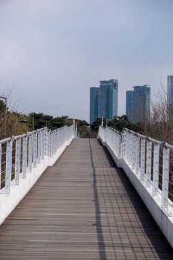 Seul, Güney Kore - 20 Mart 2024: Seul Yaya Köprüsü Kış manzaralı.