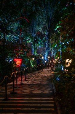Singapur - 7 Mart 2024: Harry Potter 'da Yürüyüş Yasak Orman Deneyimi Siloso Point, Sahil Yolu, Sentosa. Aydınlatma ve Etkileşimli Büyü ile açık havada iz sürme