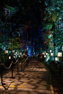 Singapur - 7 Mart 2024: Harry Potter 'da Yürüyüş Yasak Orman Deneyimi Siloso Point, Sahil Yolu, Sentosa. Aydınlatma ve Etkileşimli Büyü ile açık havada iz sürme