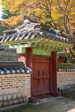 Changdeokgung Sarayı 'ndaki güzel sonbahar yapraklarıyla Kore geleneksel taş duvarı..