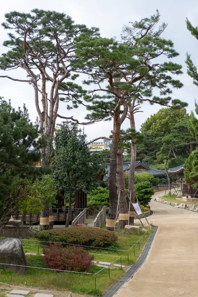 Seul, Güney Kore - 27 Ekim 2023: Seul 'de bir Budist tapınağı olan Bongeunsa Tapınağı' nda inşa edilmektedir. Sonbahar yapraklarının arka planında.