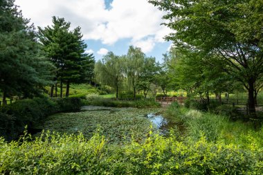 Tahta çitli yürüyüş yolu, yol boyunca ağaç ve gölet. Yongsan Aile Parkı, Seul, Güney Kore.