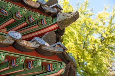 Gizli Bahçe 'deki Kore Geleneksel Binası ya da Güney Kore, Seul' deki Changdeokgung Sarayı 'ndan Huwon. Güzel sonbahar yapraklarıyla. Burası kraliyet ailesi üyeleri tarafından bir eğlence yeri olarak kullanılıyordu.
