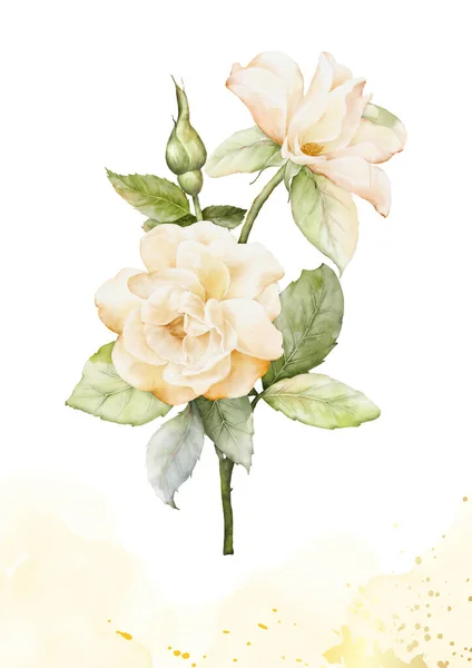 Acuarela Ramo Rosas Color Naranja Amarillento Flor Decorativa Sobre Fondo —  Fotos de Stock