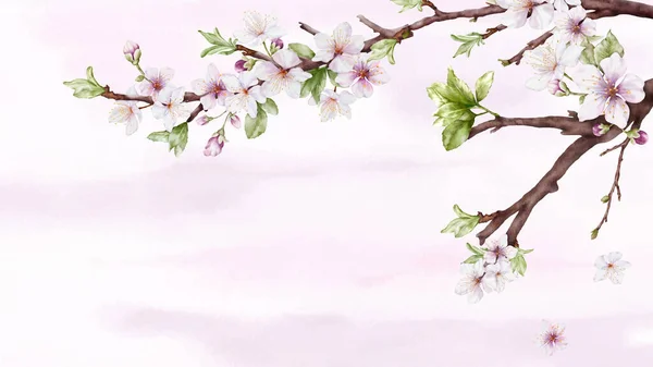 Aquarel Kunst Van Cherry Bloesem Tak Roze Sakura Bloem Vlekken — Stockvector