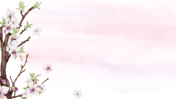 Watercolor Art Cherry Blossom Branch Pink Sakura Flower Stains Background — Stock Vector