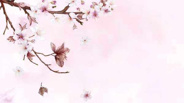 Aquarell Kunst Der Kirschblütenzweig Und Rosa Sakura Blume Auf Flecken — Stockvektor