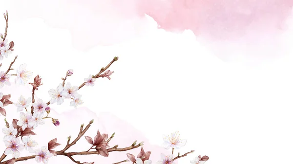 Watercolor Art Cherry Blossom Branch Pink Sakura Flower Stains Background — Stock Vector