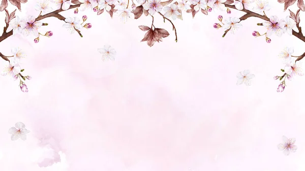 Arte Acuarela Rama Flor Cerezo Flor Sakura Rosa Sobre Fondo — Vector de stock