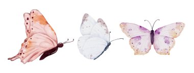 Suluboya toprak tonları kelebek koleksiyonu, vektör kelebek elementleri beyaz arka planda. Tasarımınız için uygun bir tasarım kelebeği.