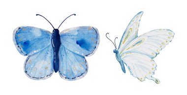 Suluboya mavi kelebek koleksiyonu, vektör kelebek elementleri beyaz arka planda. Tasarımınız için uygun bir tasarım kelebeği.