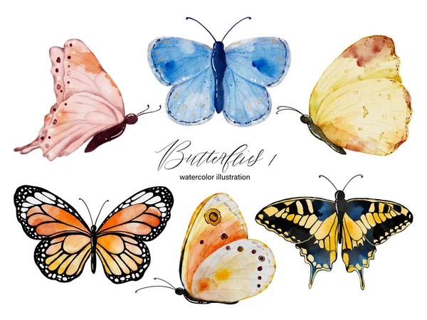 Akvarel Pestrobarevná Sbírka Motýlů Ilustrace Motýlů Prvky Izolované Bílém Pozadí — Stock fotografie