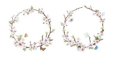 Suluboya kiraz çiçeği çelengi ve kelebekler. Sakura ağacı ve yaprakları olan doğal yuvarlak çerçeve, beyaz arkaplanda izole edilmiş vektör.