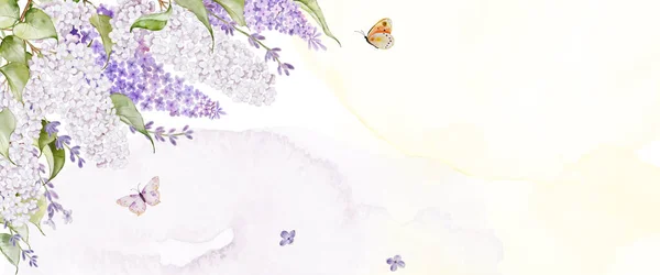 用紫丁香和蝴蝶在水彩斑斑上做横向背景的抽象艺术 矢量背景对于头部 网罩或墙壁装饰来说是很好的选择 — 图库矢量图片