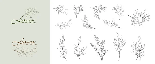 stock vector Set of minimalist botanical leaves branch. Hand drawn line elegant leaves vector suitable for logo design, tattoo, weddings, save the date, thank you, or greeting card. brush included in file.