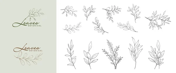 ミニマリストの植物の葉の枝のセット 手描きラインエレガントな葉ベクター ロゴデザイン タトゥー 結婚式 日付を保存 ありがとう または挨拶カードに適しています ファイルに含まれているブラシ — ストックベクタ