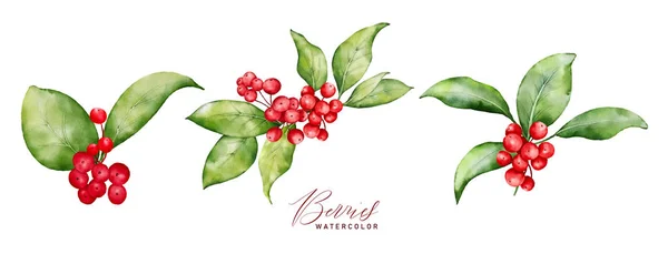 クリスマスウォーターカラーのブーケベリーと緑の葉のセット 装飾的なクリスマス フェスティバル 新年の招待状 または挨拶カードのために適した手塗りの水彩の要素 — ストックベクタ