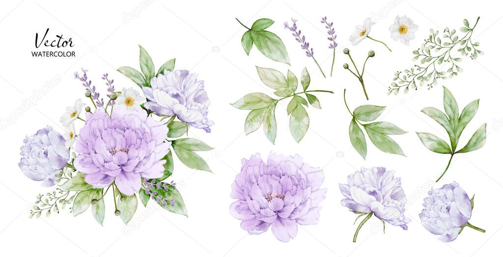 Set of watercolor bouquets with peony flower elements