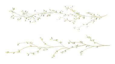 Suluboya küçük yapraklar kümesi _ 04