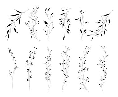 Bir dizi botanik yaprak ve el çizimi sanat eserleri. Çiçek taslak ögesi, dövme, logo, davetiye ya da tebrik kartı tasarımı için vektör illüstrasyon kıyafeti.