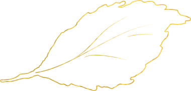 Altın damlaları sıçrama deseni, dekorasyonunuz için soyut elementler