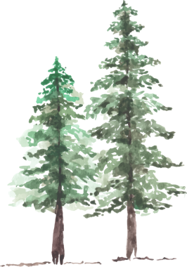 Noel Çam Ağacı Suluboya