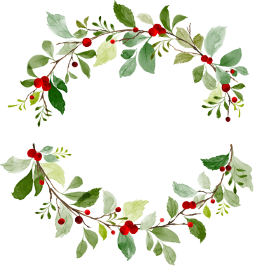 Suluboya Noel Çiçek Çelengi