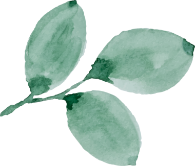 Suluboya dalları elle boyanmış element resimlemesi bırakır.