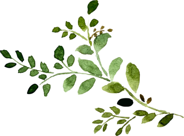 Suluboya dalları elle boyanmış element resimlemesi bırakır.