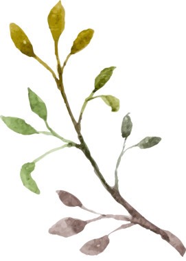 Suluboya dalları elle boyanmış element resimlemesi bırakır.